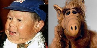 A los 76 años murió el actor Mihaly Meszaros, quien era el que ponía el cuerpo en el personaje del famosos extraterrestre "Alf".