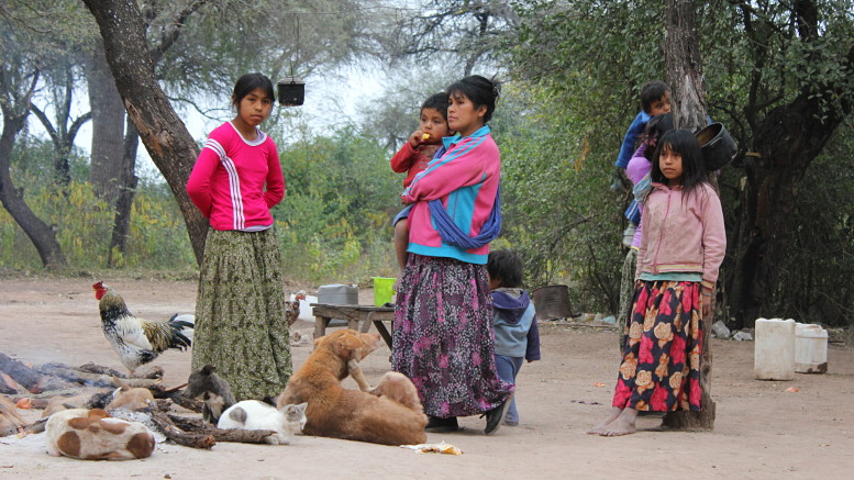 15 8 millones de hect reas de bosques nativos del Chaco salte o