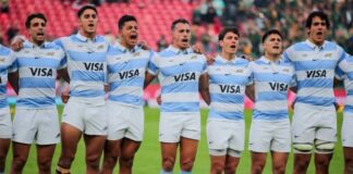 los pumas