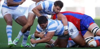 los pumas