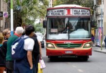 colectivos