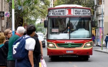 colectivos