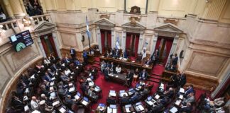 senado